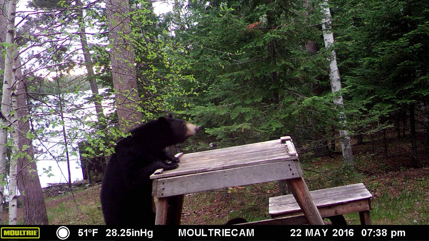 Lily on May 22, 2017