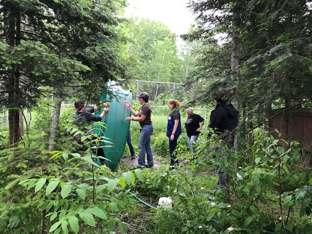 Ted pool cleaning crew