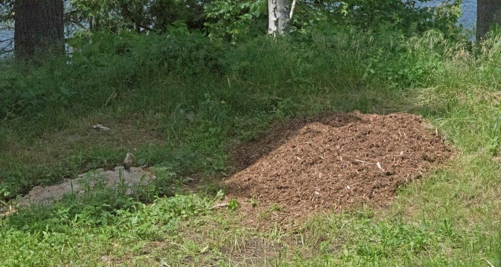Cedar mulch and beef fat