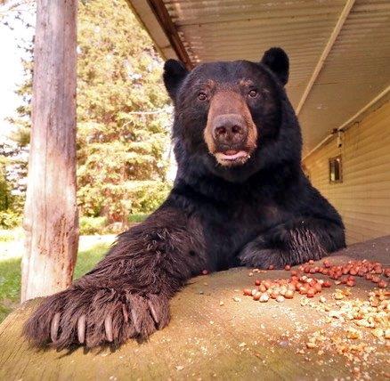 Burt - photo by Kristie Burns