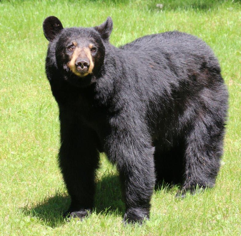 Ursula - 7/16 photo by Karen Hicks