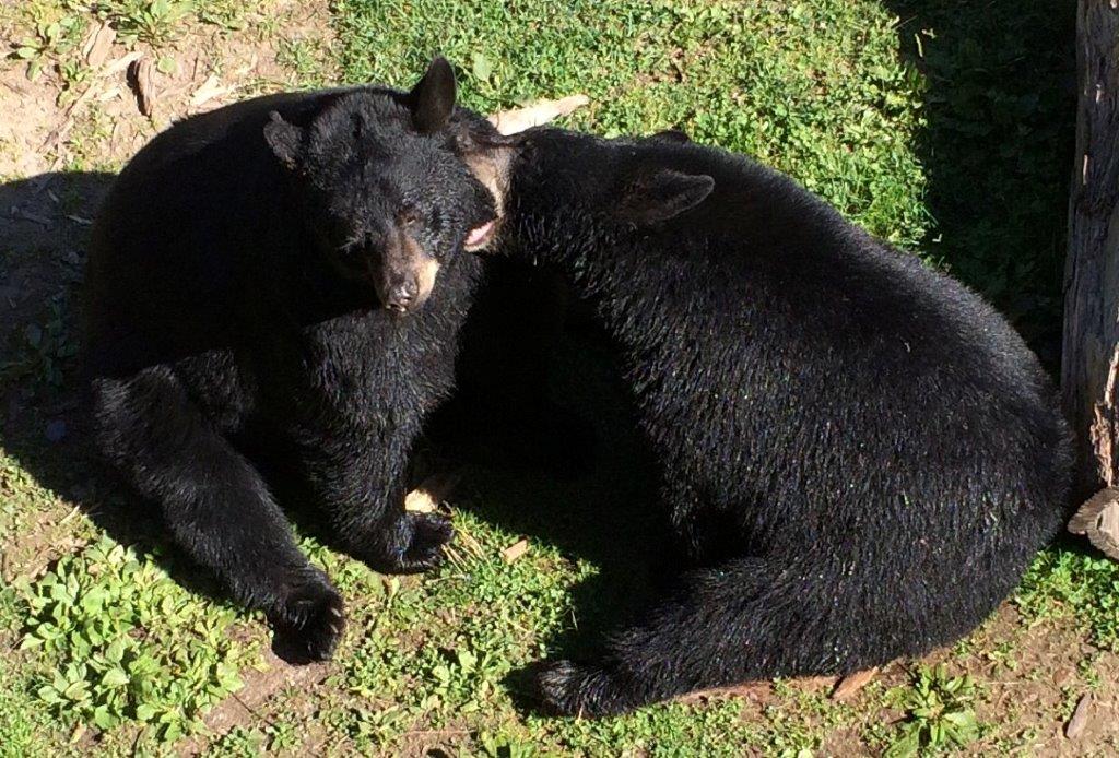Tasha mouthing Holly