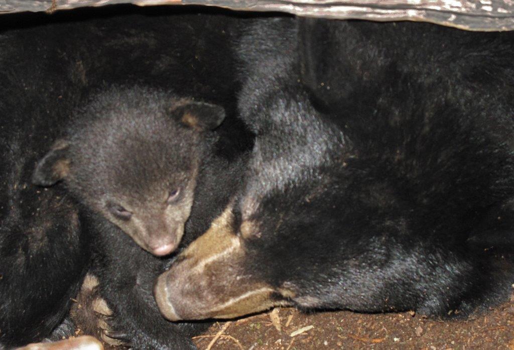 Lily and Hope - 03/10/10