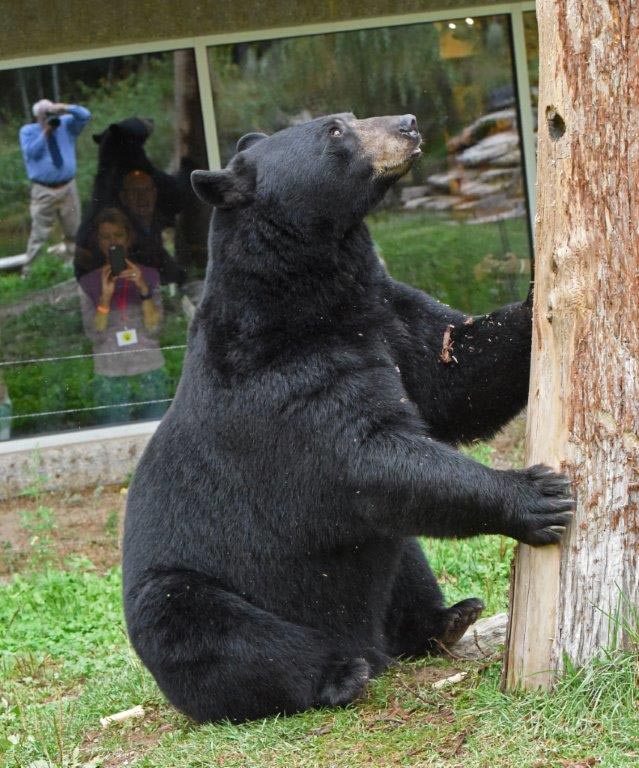 Lucky and Dr. Rogers