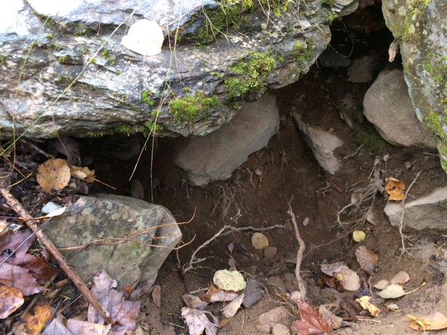 Where Tasha is digging