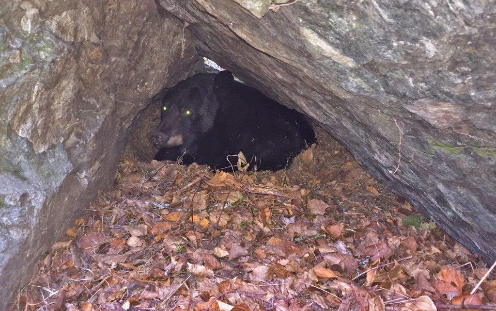 Jewel in den 10/22/2015