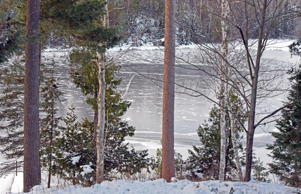Woods lake - iced over
