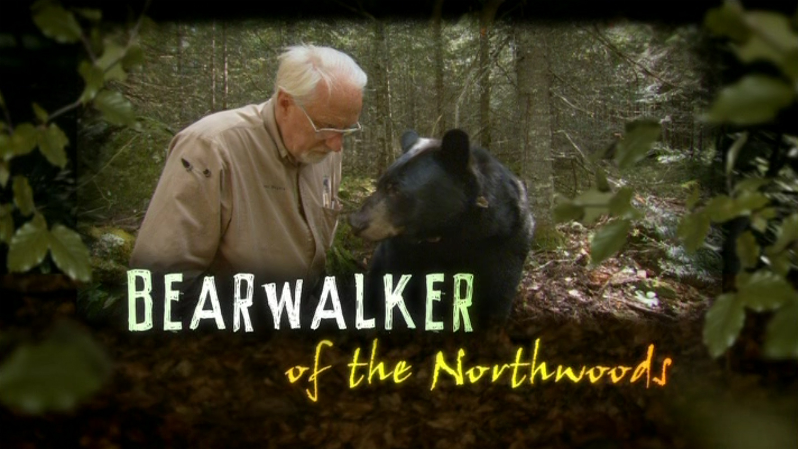 Bear Walker of the Northwoods