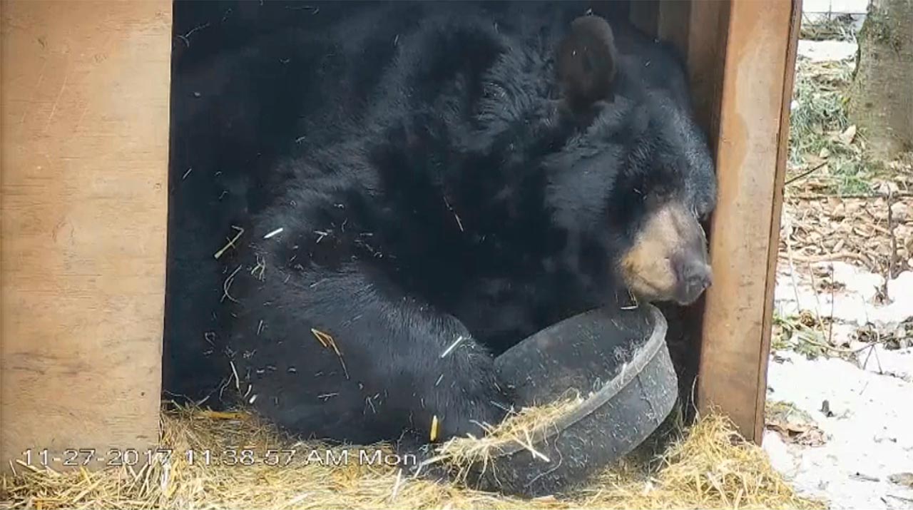 Ted with bowl