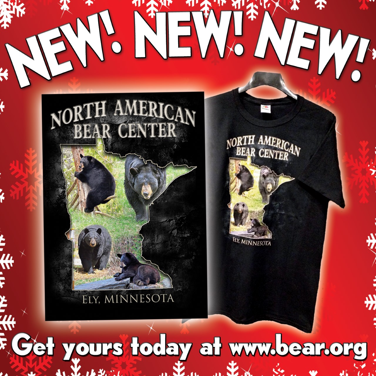 T-shirt with 4 bears