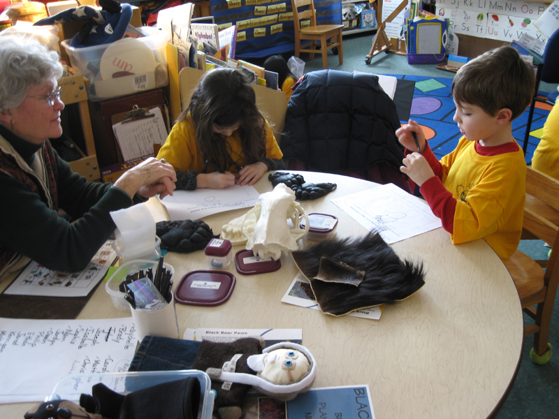 Bear Box in classroom