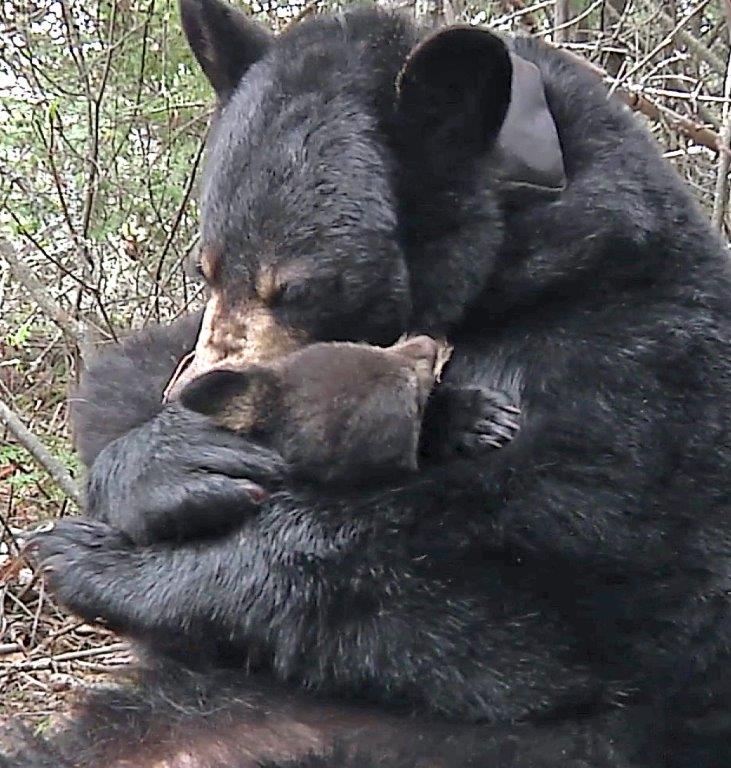Lily and Hope on 4/24/10