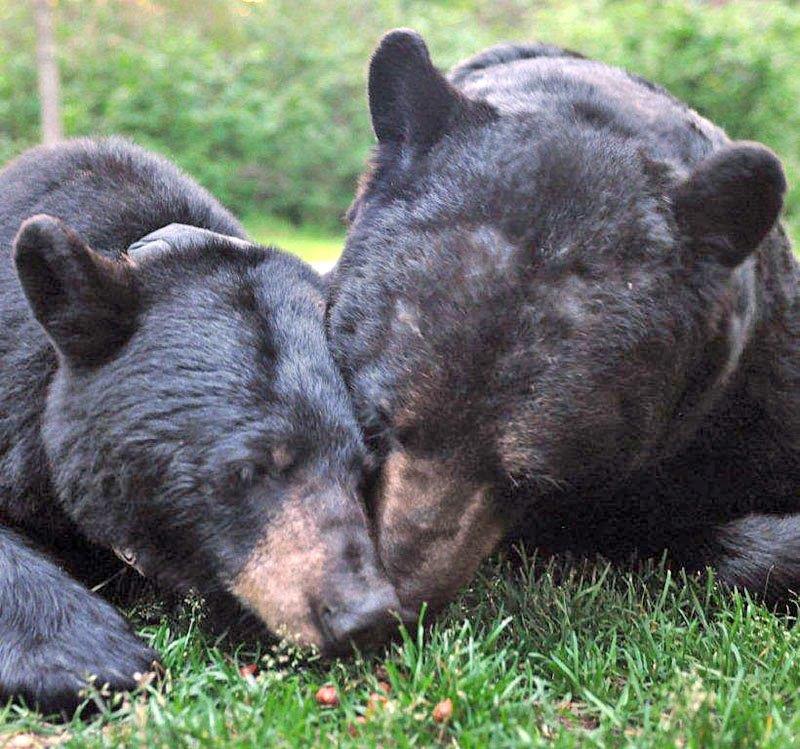 June and Harry 6-21-12