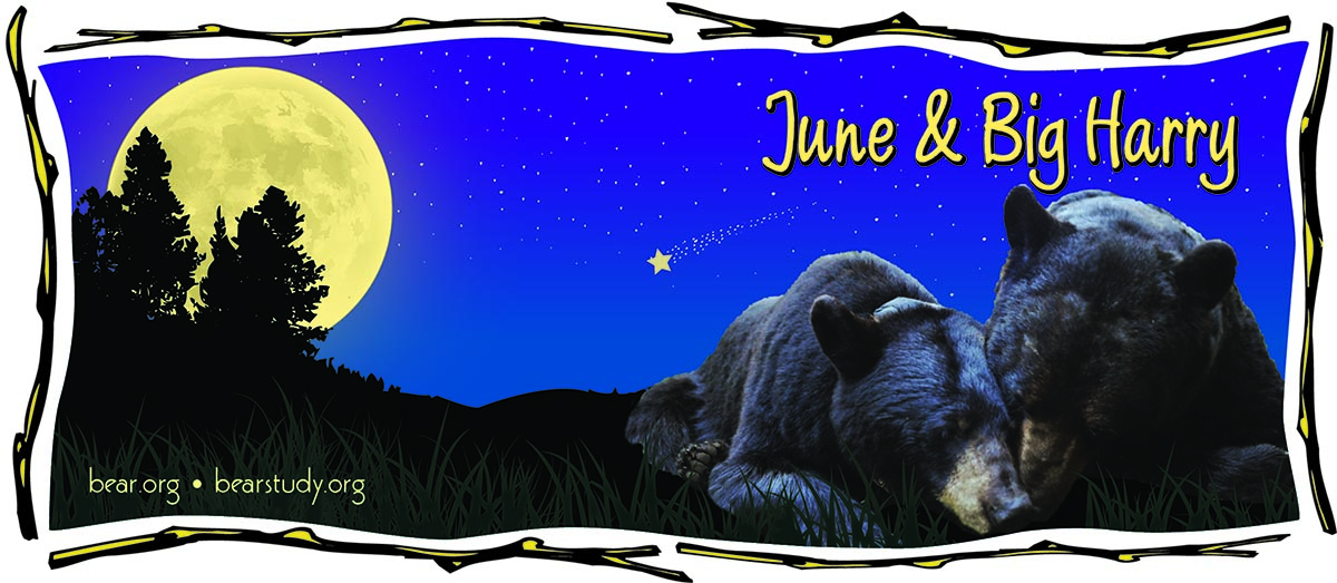 June & Harry illustration from 2012