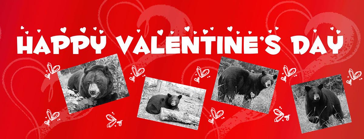 2018 Valentines from NABC