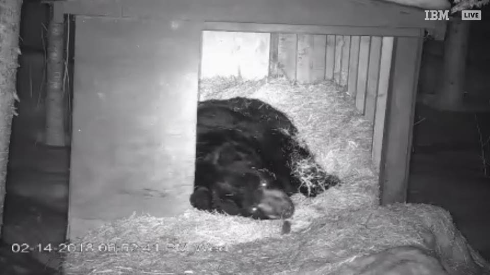 Ted and the Vole - 2/14/18