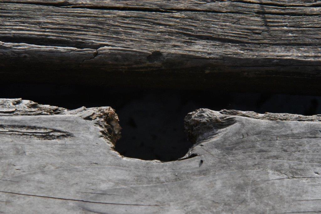 Bucky squeezes through