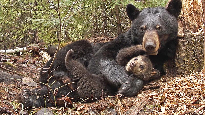 June and Lily on 4-22-07