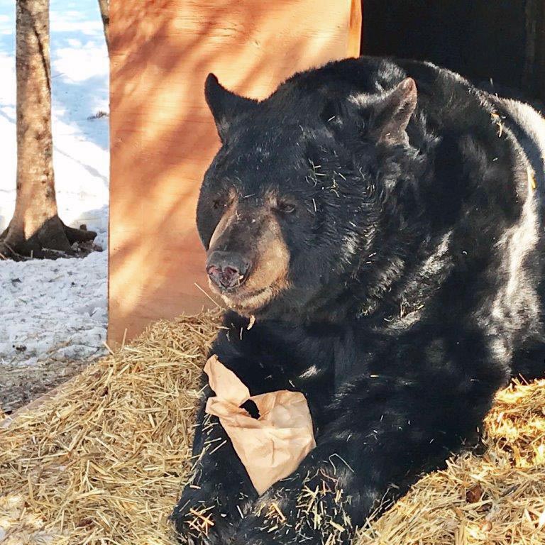 Ted