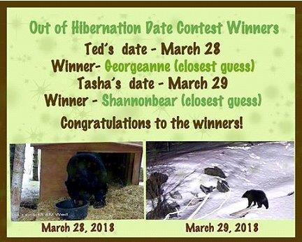 Hibernation winners