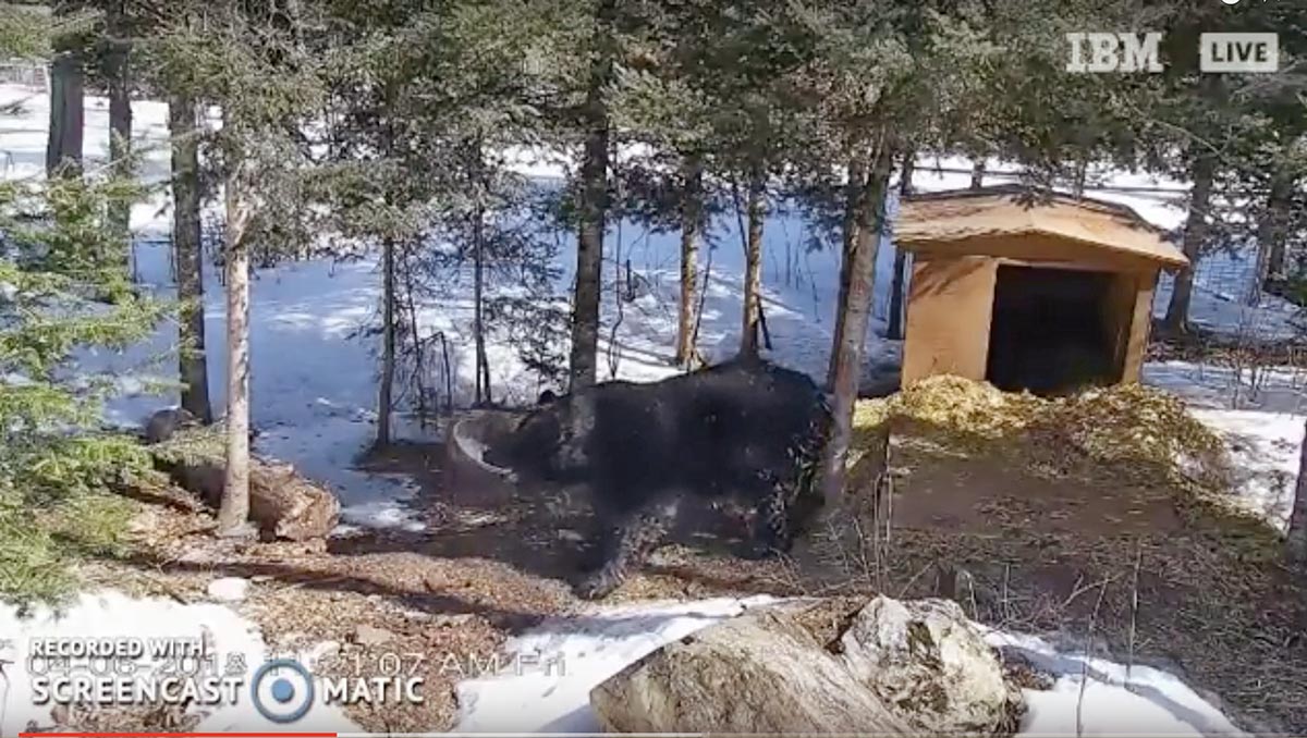 Ted plays with his water dish