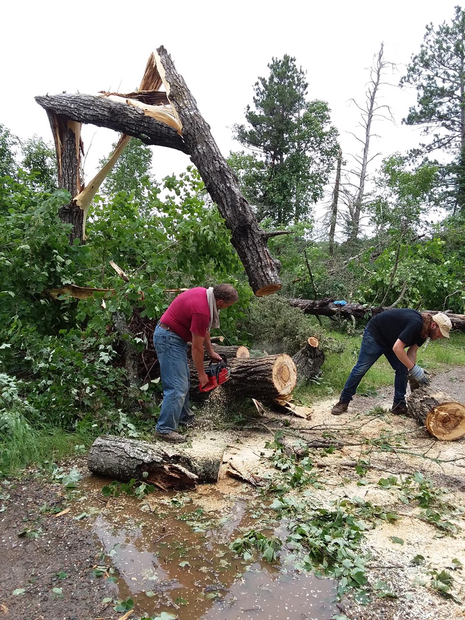 Storm damage in Ely