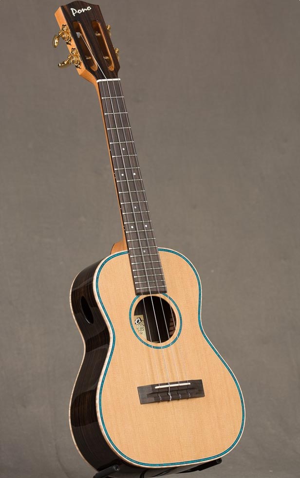 Pono Ukulele Contest Prize