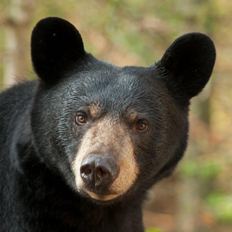 20180912 20140830 Lily 8 6 14