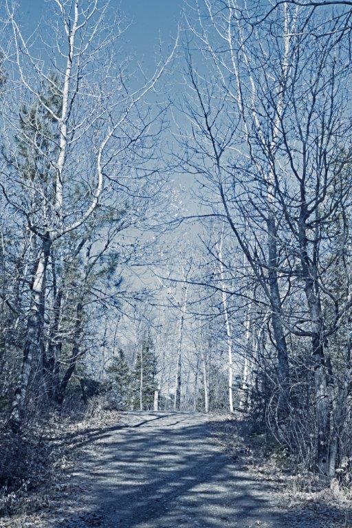 Driveway Oct 24, 2018