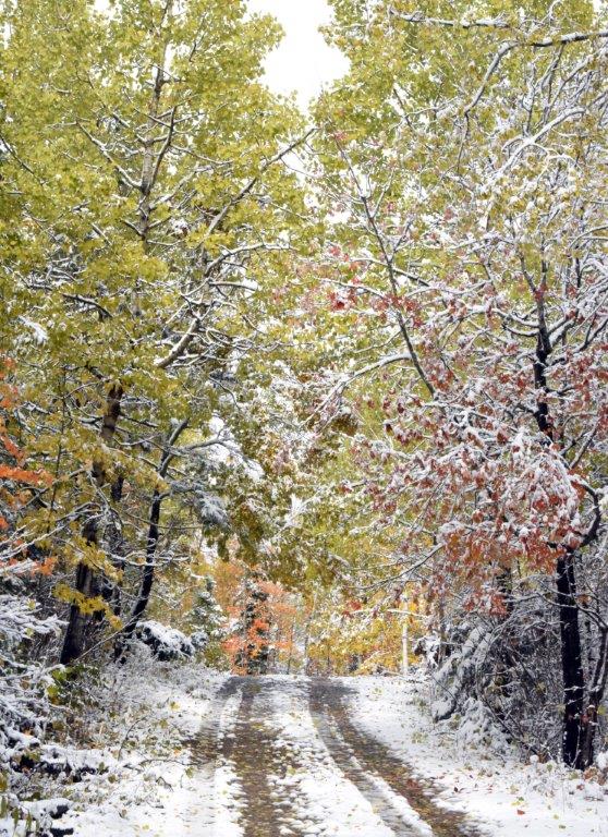 Driveway on Oct 11, 2018