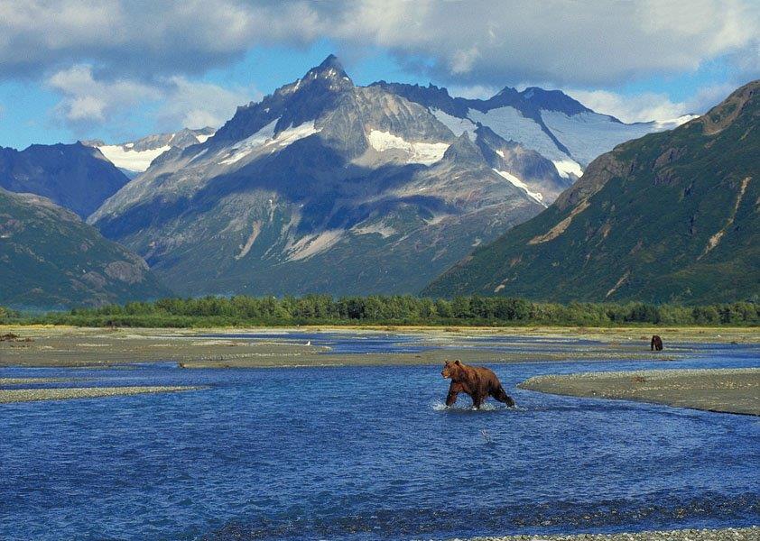 Griz crossing stream