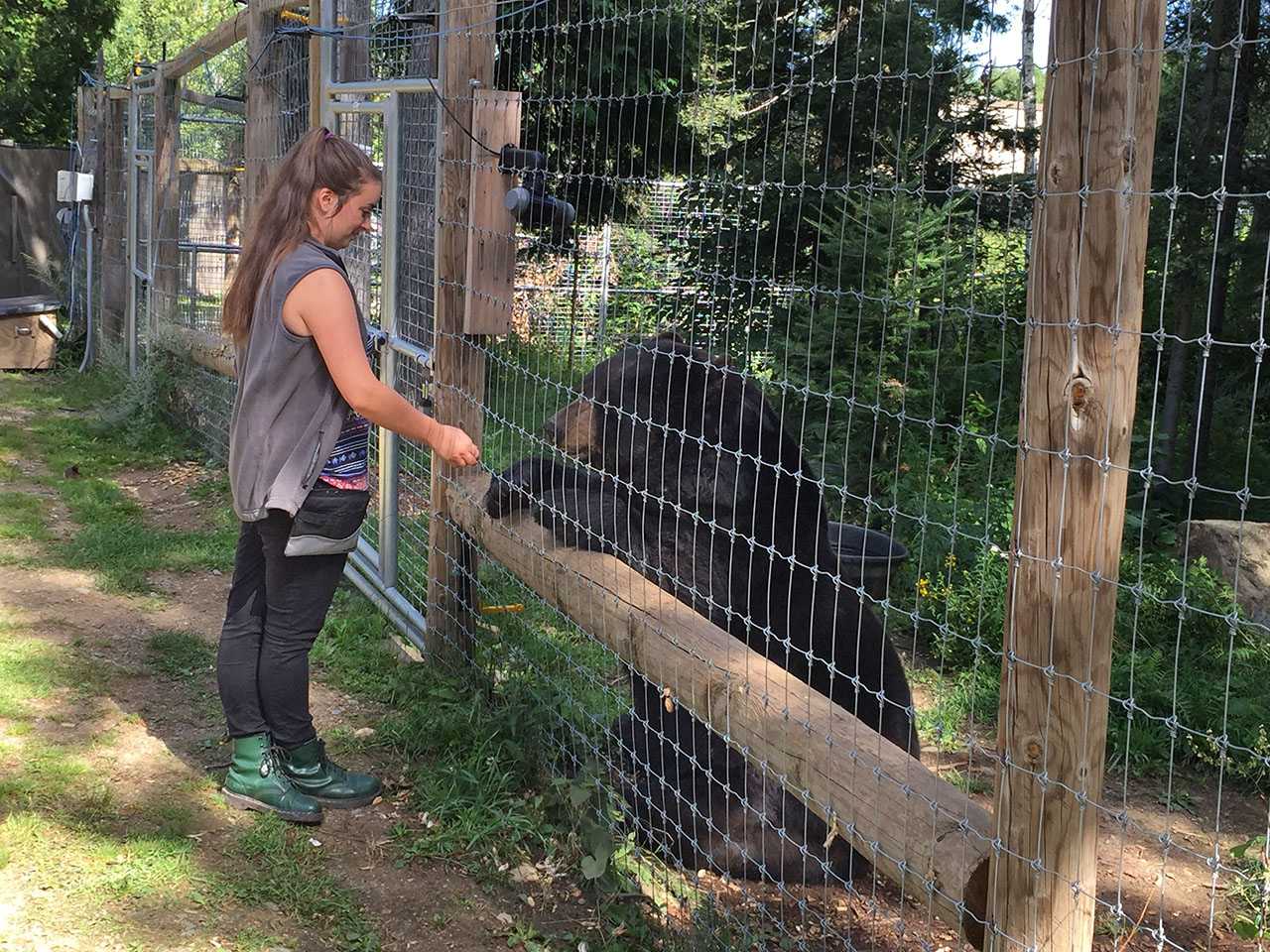 20190220 Intern feeding bear