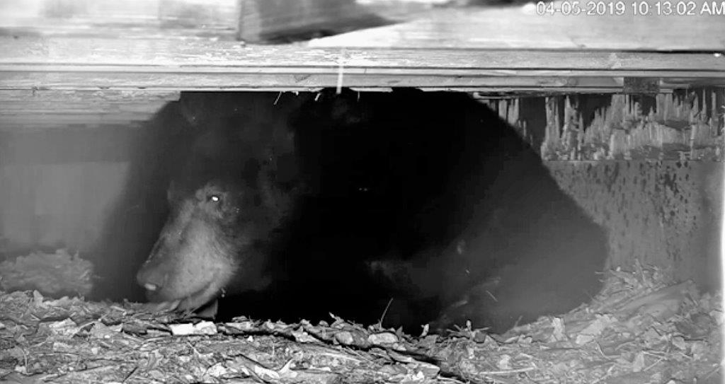 PA Mom photo referenced from April 5 update