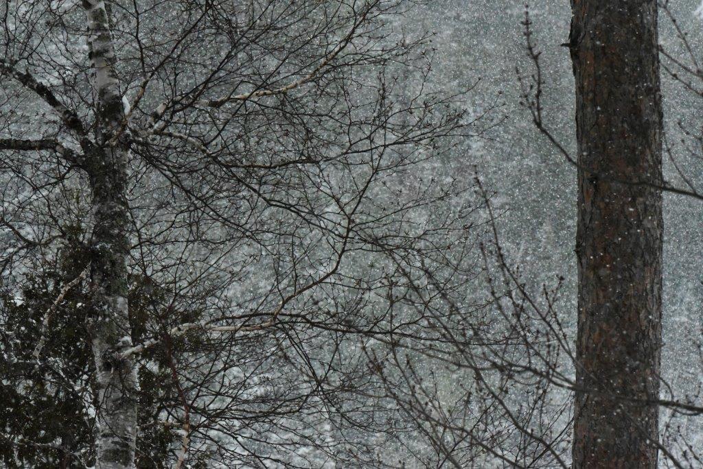 Snow