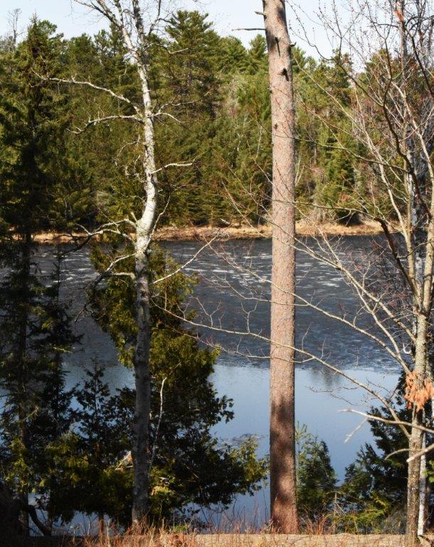 Woods lake