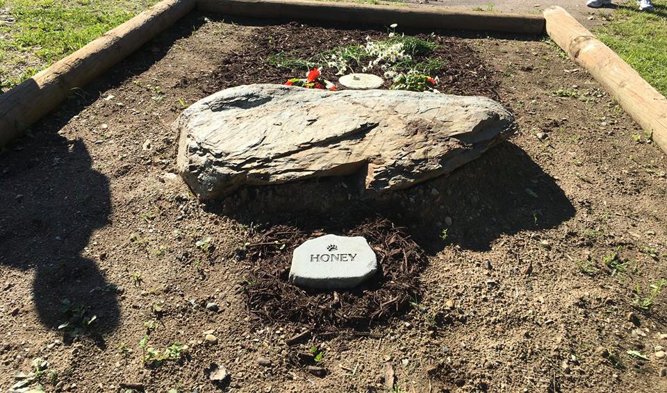 Honey's grave