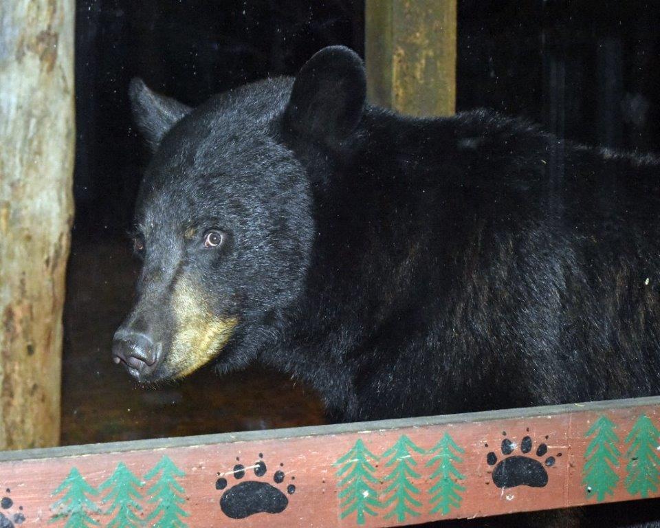 Quill on April 28, 2019