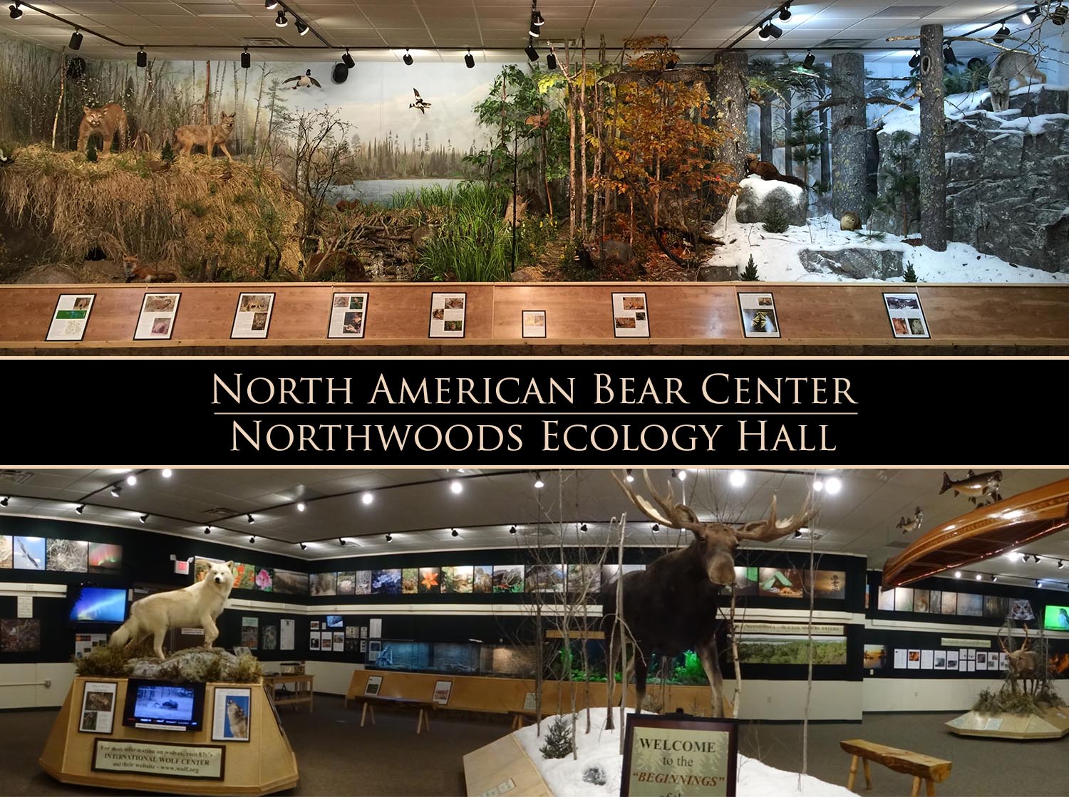 Northwoods Ecology Hall