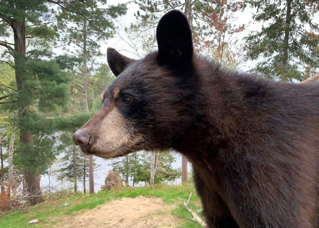 RC's Carter after RC left