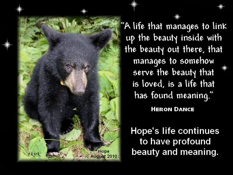 Hope - by Trish Kirk