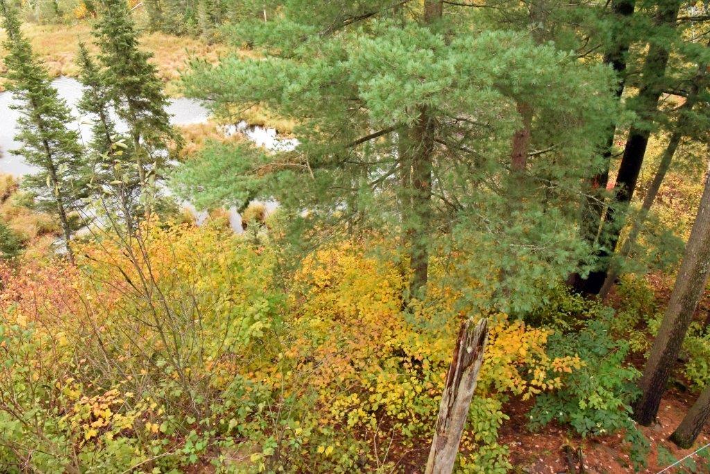 WRI view from 3rd floor