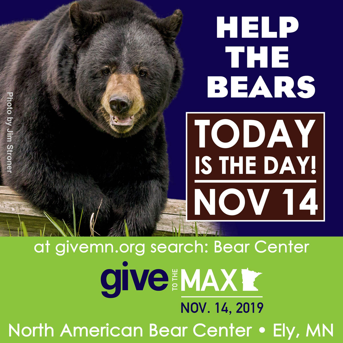 GiveMN Thursday 11/14/19