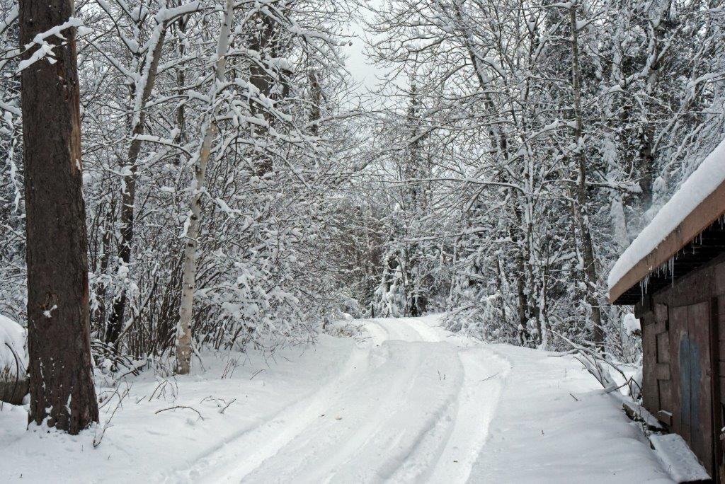 Driveway with 10" of snow