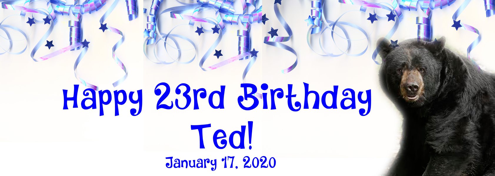 Ted birthday banner