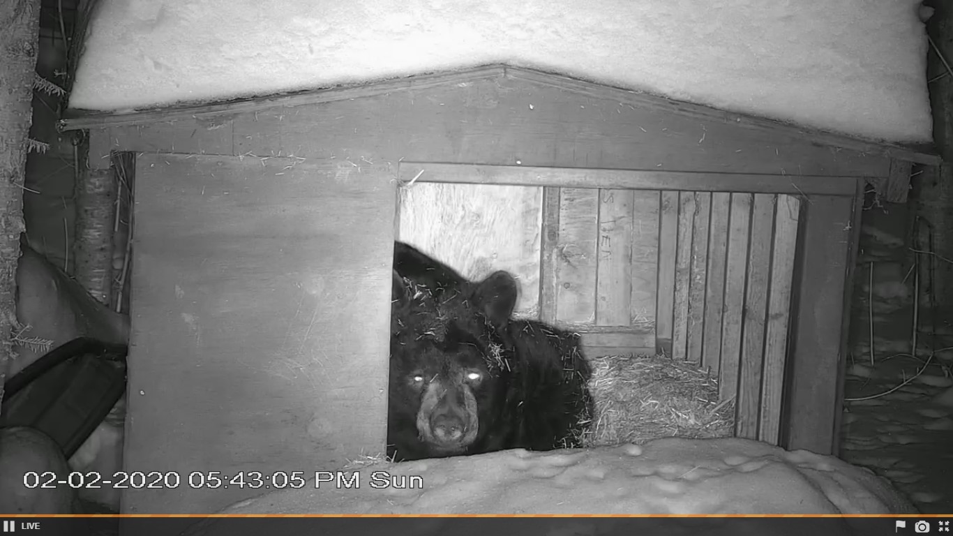 Ted awake 5:43pm