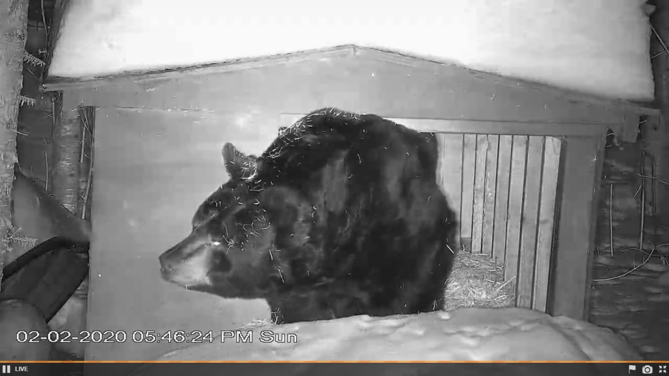 Ted awake 5:46