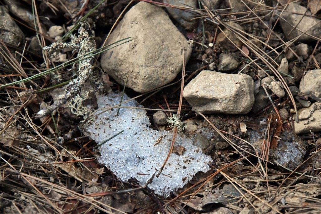 Last of the snow