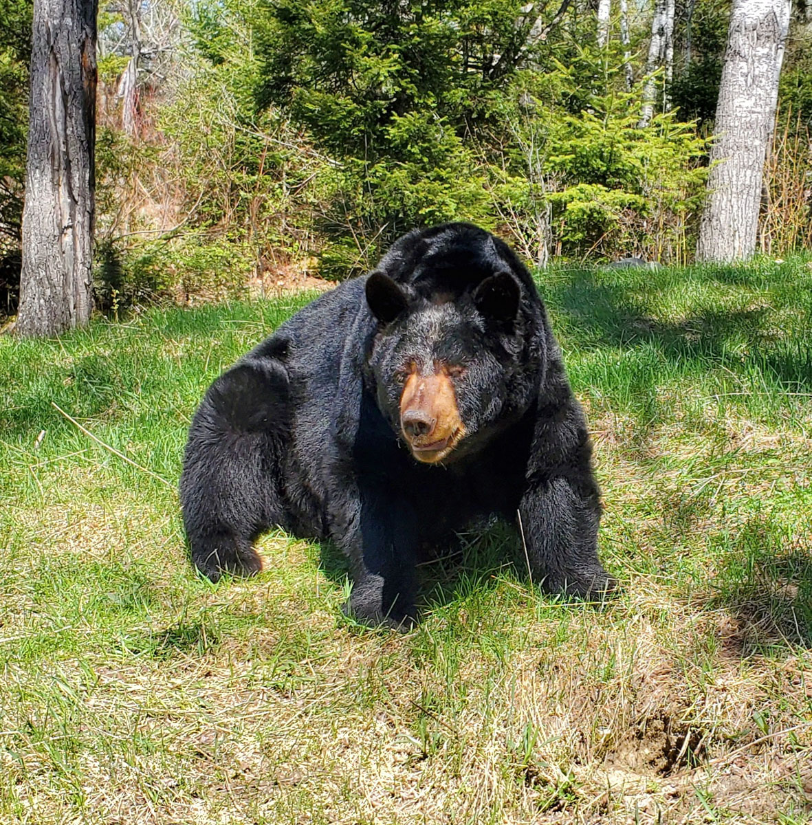 20200525 Sharon Teds coat