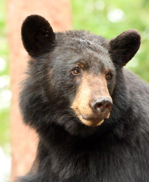 Faith at 9 years old