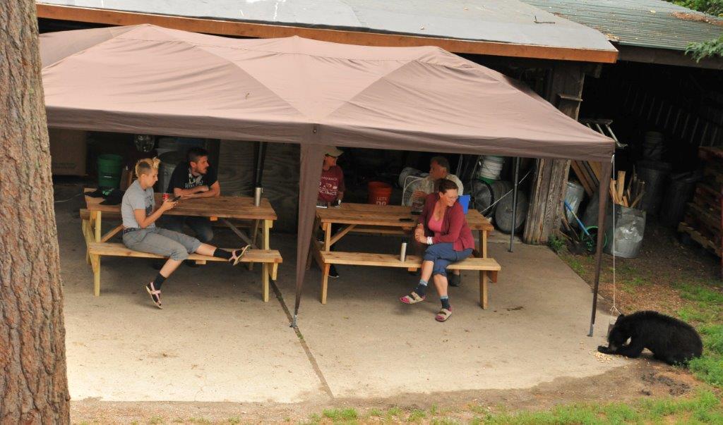Sun shade for bear course attendees